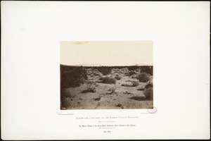 The Mojave Desert, in the Great Basin, California; Sierra Nevada in the distance, 1,650 miles from Missouri River.