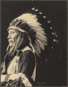 Afraid of Eagle, Sioux