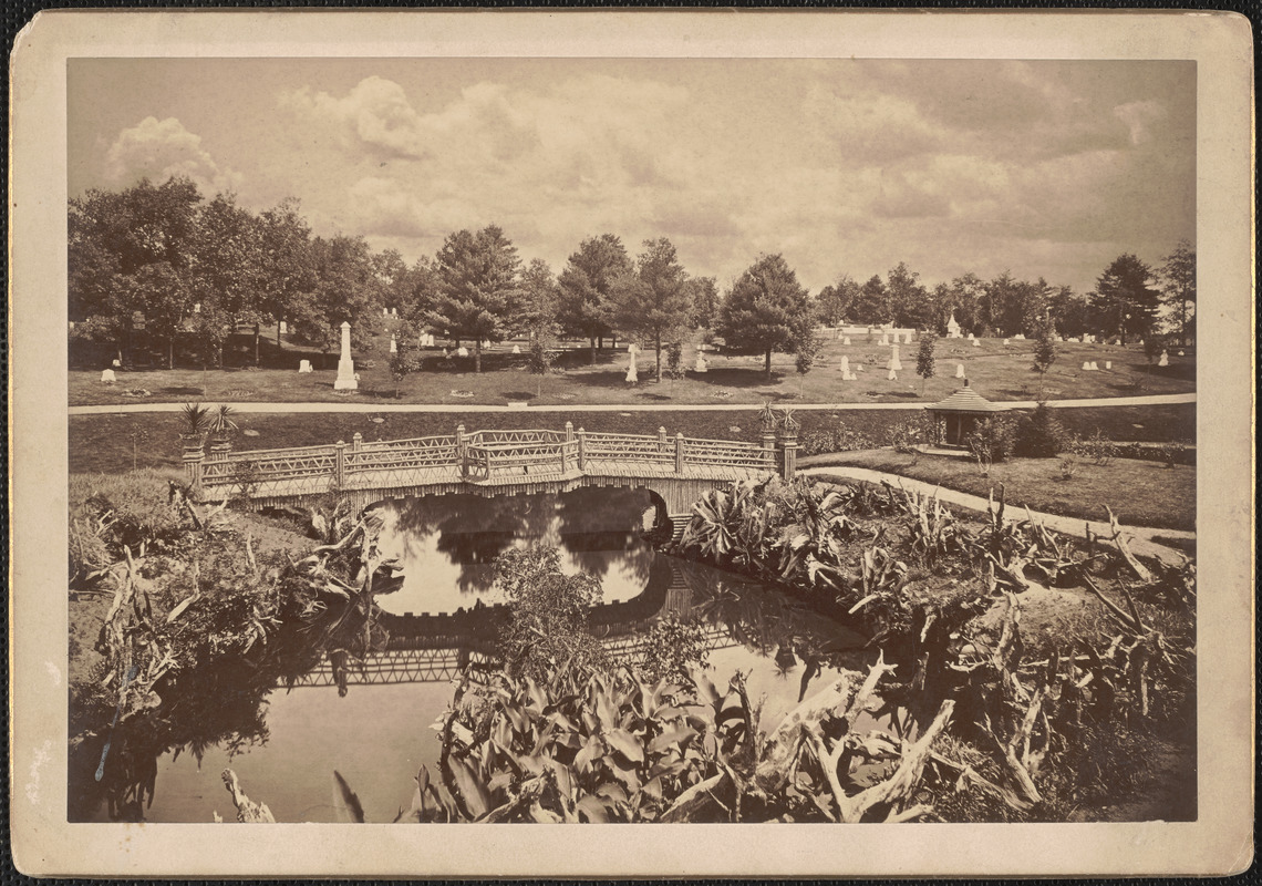 Photograph of the Newton Cemetery