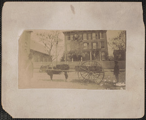Photograph of cart on street