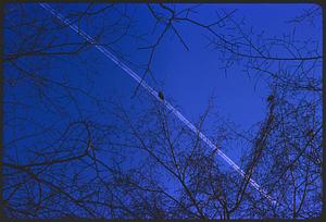 View of condensation trails in sky