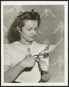 Inventors Display New Gadgets. "If you build a better mousetrap ..." was inventor Louis Goodman's idea in designing this new mouse-catcher which Mis Lillian Saffran tries out with a toy mouse. Ordinary tongs are used to nab Mr. Mouse as he goes for cheese and he's released from the trap by simply pressing the handle. Goodman is a resident of New York City.