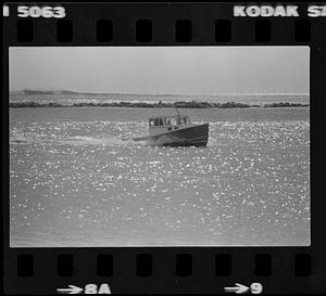 Plum Island panorama