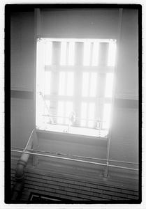 Lights