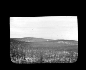 View from "Crags" in Blue Hill Reservation