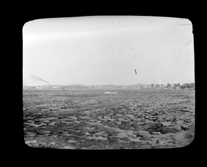 Sagamore Meadow off East Squantum Street