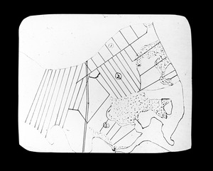 Plan of William Ting farm