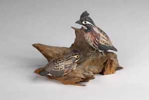 Bobwhite quail (pair)