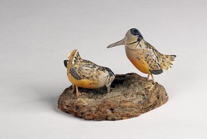 Woodcocks (pair)