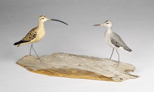 Whimbrel ; Willet