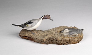 Pintail ducks (pair)