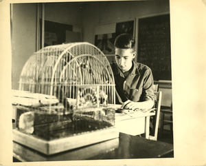 Student with birdcage