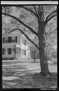 House and lawn, Cambridge