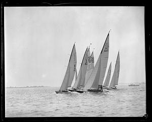 Yachts including 30 square meter yachts