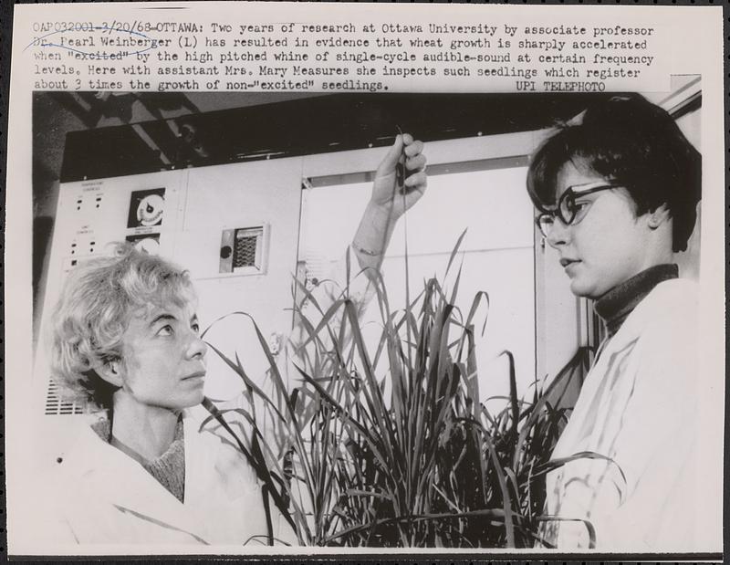 Dr. Pearl Weinberger