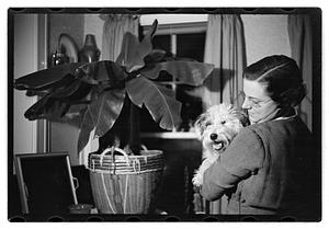 Miss Liddie A Livevey, collector of miniature dogs, 400, 1 live one