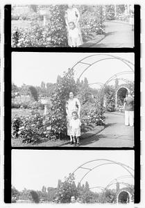 Unidentified boy and woman, rose garden, Boston