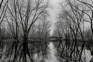 Ipswich River