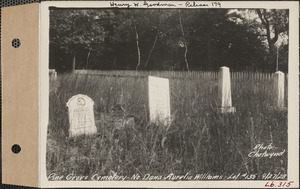 Aurelia Williams, Pine Grove Cemetery, lot 135, North Dana, Mass., Sept. 27, 1928