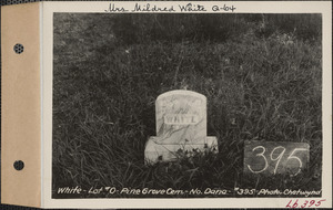 White, Pine Grove Cemetery, lot O, North Dana, Mass., ca. 1928