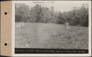 Williams, Pelham Hollow Cemetery, lot 98, Prescott, Mass., ca. 1930-1931