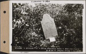 Woods, Blue Meadow Cemetery, Grave no. 11, Belchertown, Mass., Aug. 18, 1934