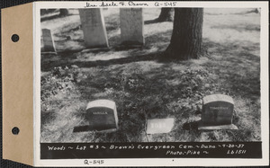 Woods, Brown's Evergreen Cemetery, lot 3, Dana, Mass., Apr. 30, 1937