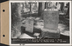 Amsden, Brown's Evergreen Cemetery, lot 9, Dana, Mass., Apr. 30, 1937