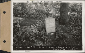 White, Brown's Cemetery, lot 13, Dana, Mass., June 4, 1937