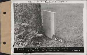 Bridget Bump, Packardsville Cemetery, lot 9, Enfield, Mass., Aug. 13, 1937