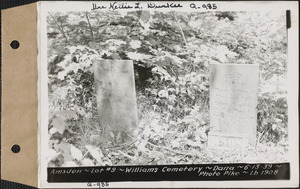 Amsden, Williams Cemetery, lot 9, Dana, Mass., June 13, 1939