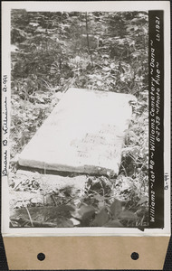 Williams, Williams Cemetery, lot 8, Dana, Mass., June 27, 1939