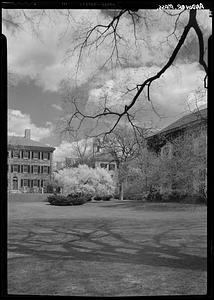 Andover, Phillips Academy, spring
