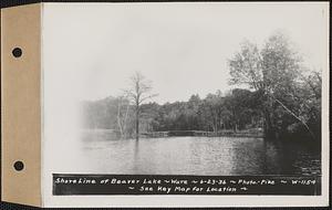 Shore line of Beaver Lake, Ware, Mass., Jun. 23, 1936