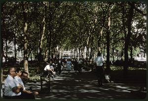 Shadowed path with overhanging trees in park, Bryant Park, Manhattan, New York
