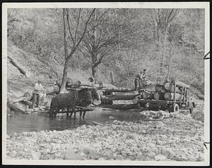 Horse Power and man muscle still play important roles in New England logging operations. This photo was taken by Lee A. Ellis of Waban at Middletown Springs, Vt., where the logs are laboriously rolled onto the truck after being dragged down the slope by a team of horses.