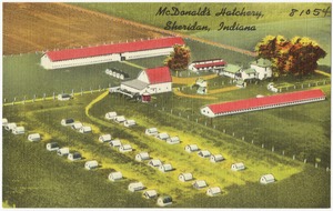 McDonald's Hatchery, Sheridan, Indiana