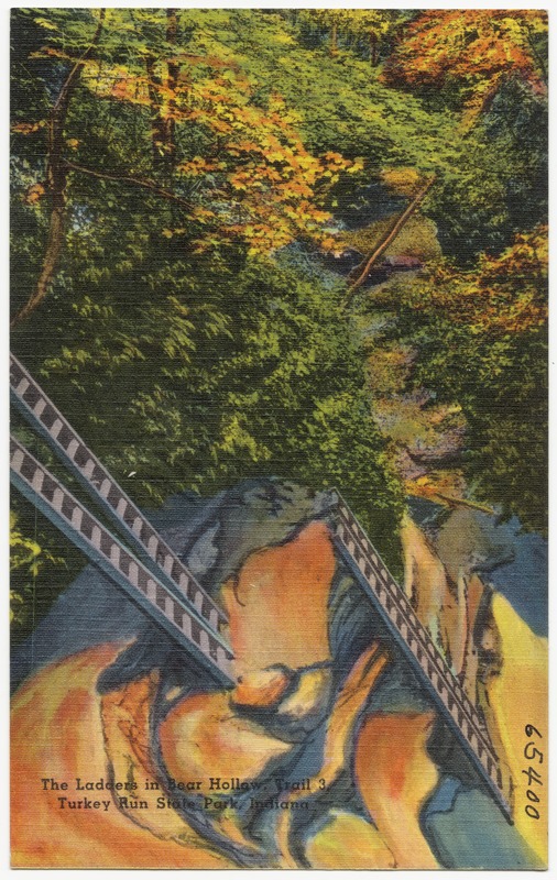 The ladders in Bear Hollow, Trail 3, Turkey Run State Park, Indiana