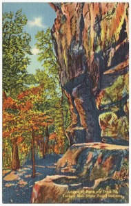 Ledge of rock on Trail 3, Turkey Run State Park, Indiana