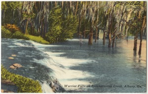 Warrior Falls on Kinchafoonee Creek, Albany, Ga.