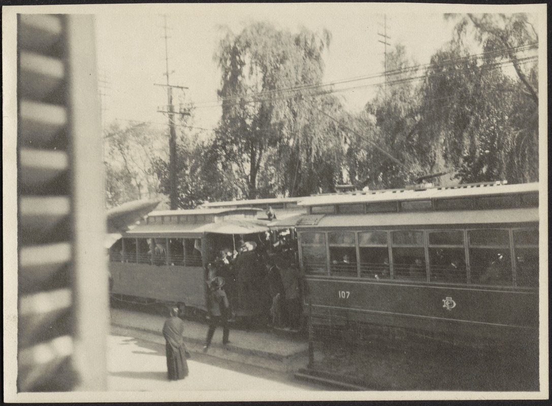 Trolley Bus