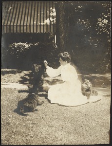 Possibly Gertrude Stevens Kunhardt with three terriers