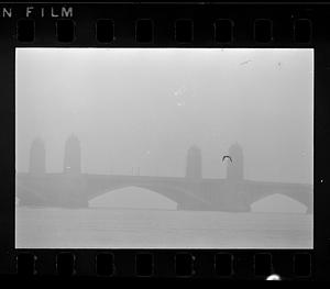 A seagull flies in mist over the Longfellow Bridge, Boston