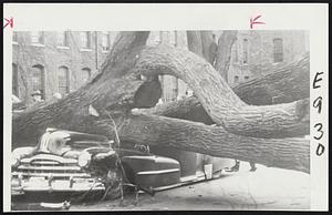 Tree Toppled – This giant elm was toppled by high winds on Mineral Spring Avenue, Pawtucket. It landed on a parked car owned by Mrs. Anna Riley, an employee of the nearby Raycrest Mill. Traffic was tied up for two hours until the street was cleared.