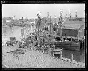 Fishermen on docked fishing boats, a building with the sign "Gloucester Coal and Lumber Co." in background