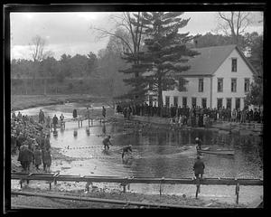 Salmon hatching, Raymond, Maine