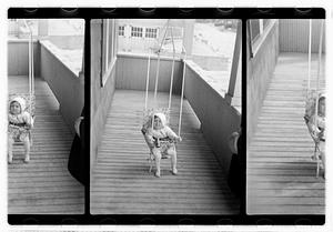 Child in a swing seat