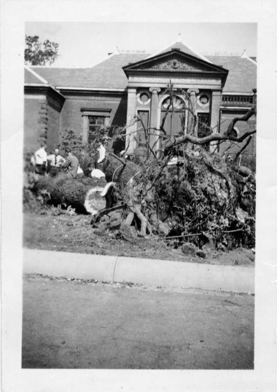 Hurricane of 1938 damage.