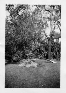 Hurricane of 1938 damage.