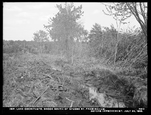 Sudbury Department, improvement of Lake Cochituate, brook south of Speene Street, before improvement, Framingham, Mass., Jul. 29, 1910